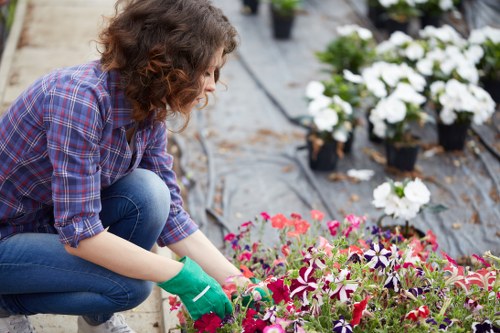 Gardener inspecting a lawn at the start of the complaint process