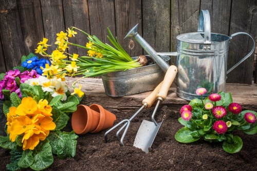 Volunteer planting beds in a Willesden green space
