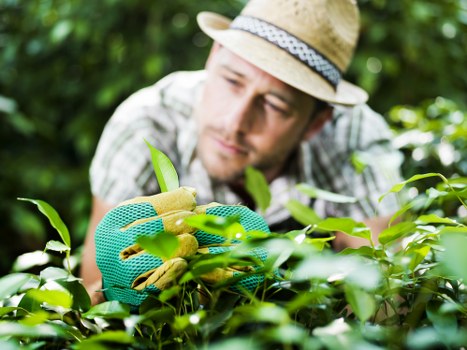 Investigator reviewing gardening work and records during a site visit
